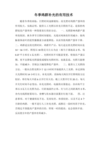 冬季鸡群补光的实用技术