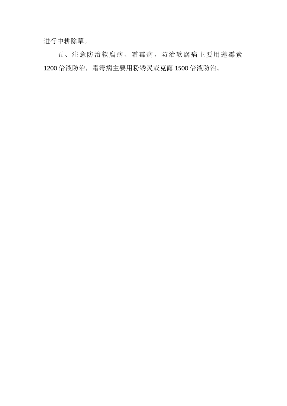 冬早春莴笋高产栽培技术要领_第2页