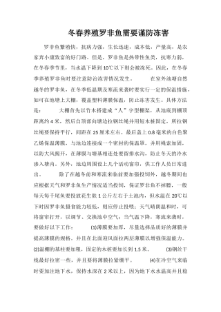 冬春养殖罗非鱼需要谨防冻害