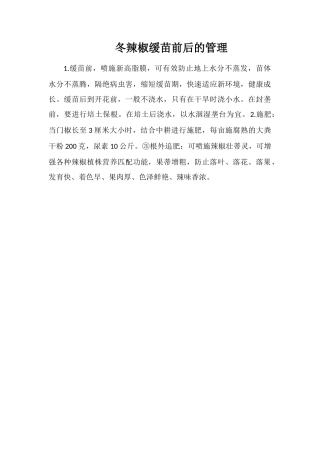 冬辣椒缓苗前后的管理