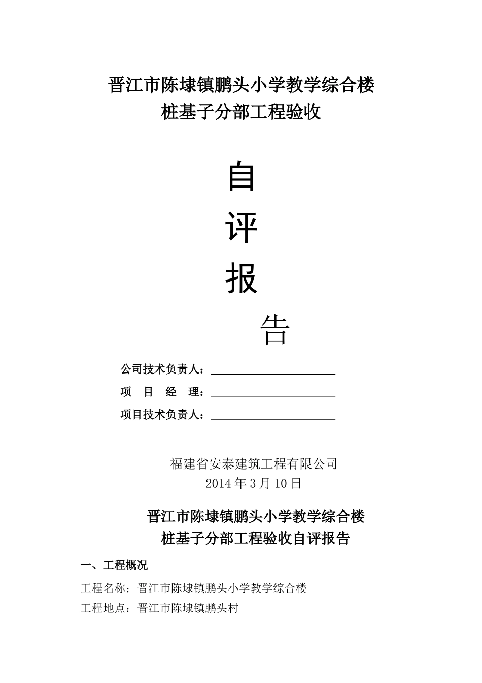 冲孔灌注桩自评报告新_第1页