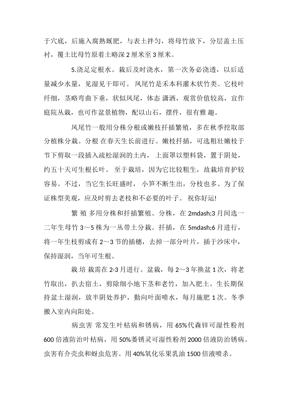 凤尾竹的养护方法_第2页