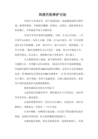 凤尾竹的养护方法