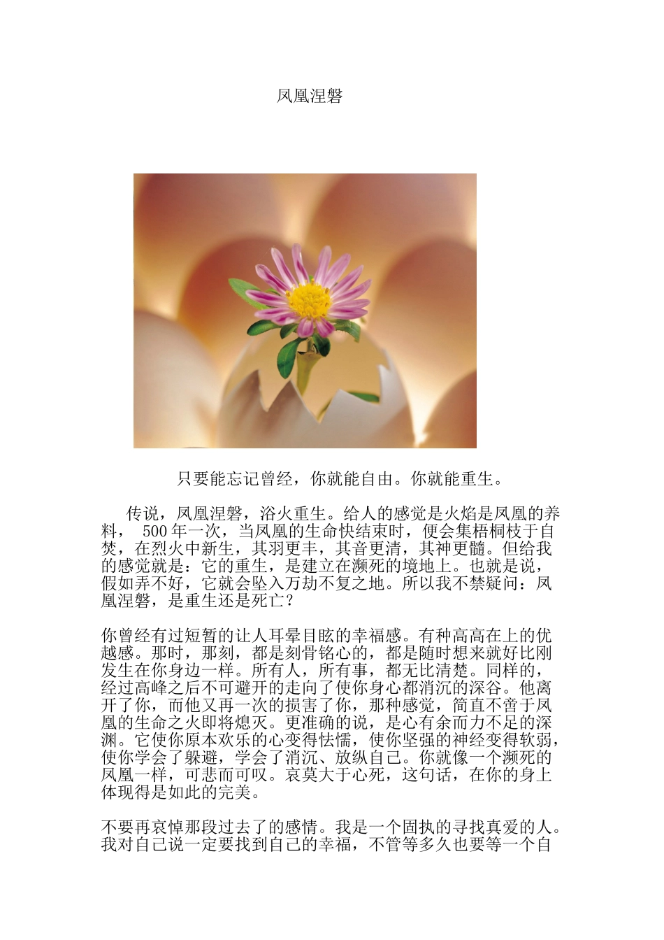 凤凰涅磐_精品文档_第1页