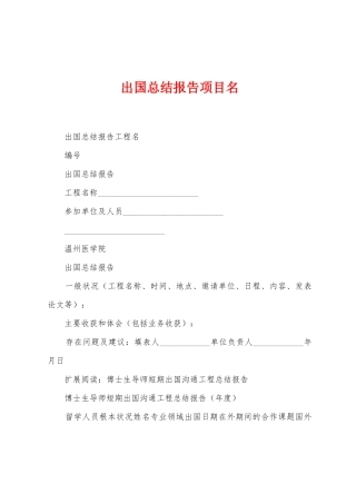 出国总结报告项目名