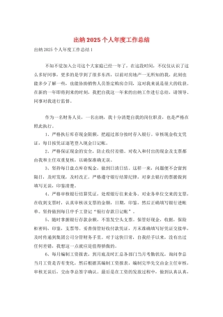 出纳2025个人年度工作总结