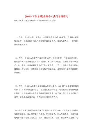 出纳个人实习总结范文