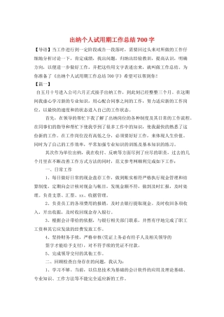 出纳个人试用期工作总结700字