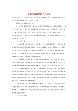 出纳人员试用期个人总结