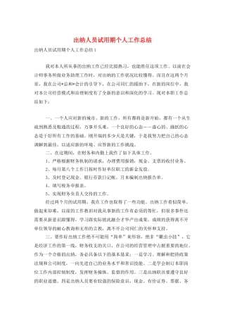 出纳人员试用期个人工作总结