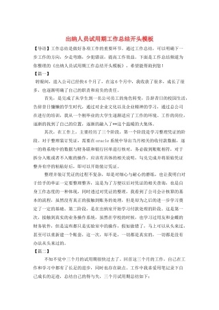 出纳人员试用期工作总结开头模板