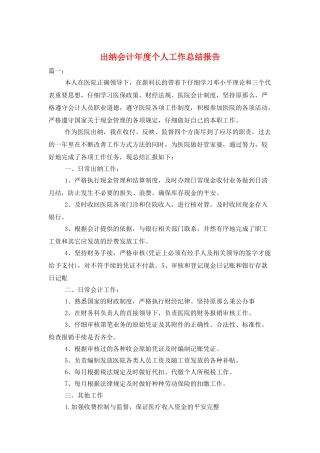 出纳会计年度个人工作总结报告