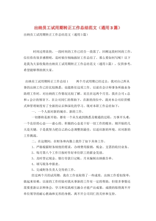 出纳员工试用期转正工作总结范文