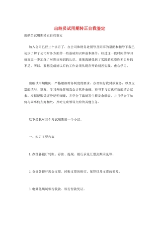 出纳员试用期转正自我鉴定