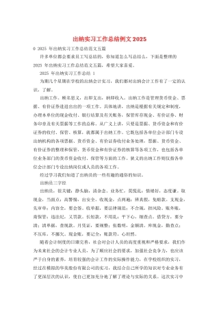 出纳实习工作总结例文2025