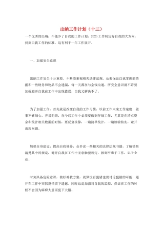 出纳工作计划(十三)