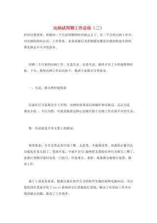 出纳试用期工作总结(二)