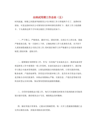 出纳试用期工作总结(五)