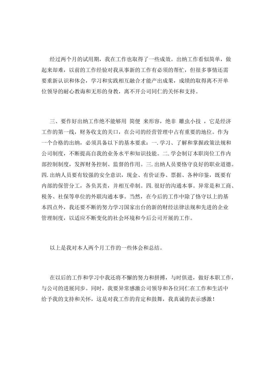 出纳试用期工作总结(十)_第2页