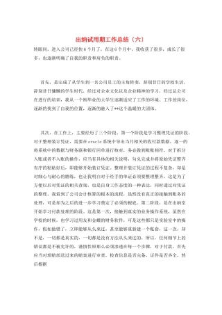 出纳试用期工作总结(六)