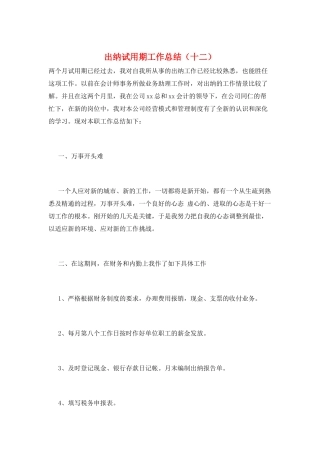 出纳试用期工作总结(十二)