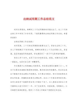出纳试用期工作总结范文