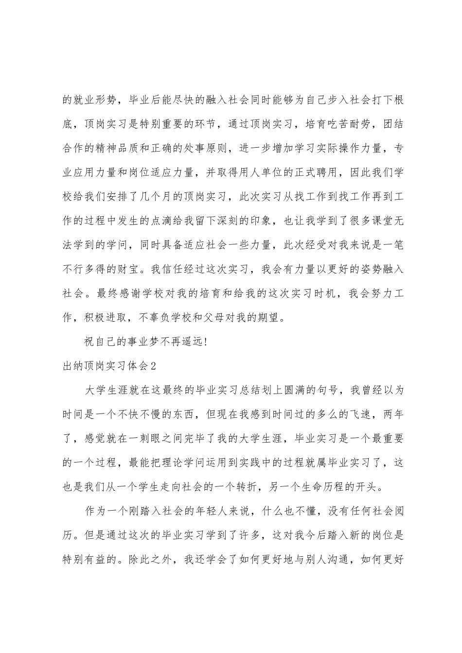 出纳顶岗实习体会_第3页