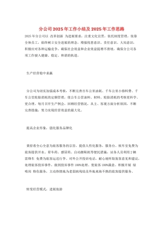 分公司2025年工作小结及2025年工作思路