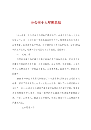 分公司个人年度总结
