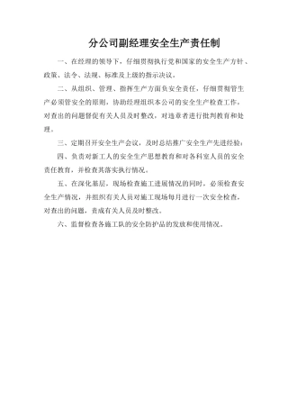 分公司副经理安全生产责任制