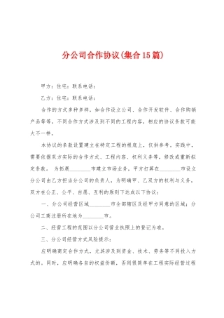 分公司合作协议