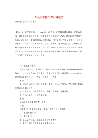 分公司年度工作计划范文