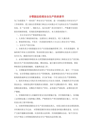 分管副总经理安全生产的承诺书