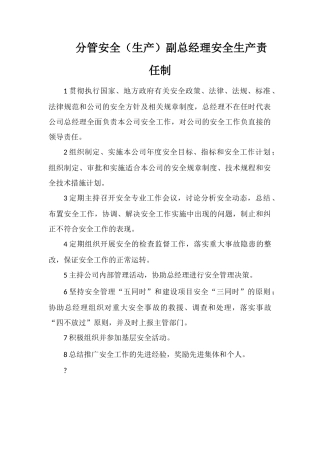 分管安全副总经理安全生产责任制