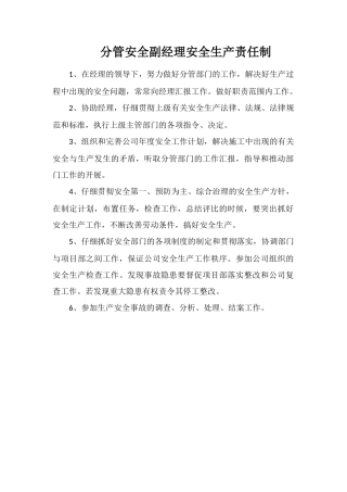 分管安全副经理安全生产责任制