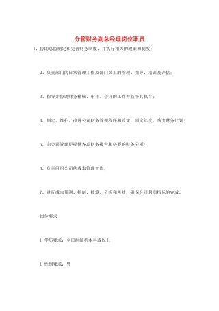 分管财务副总经理岗位职责