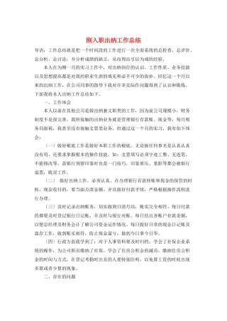 刚入职出纳工作总结