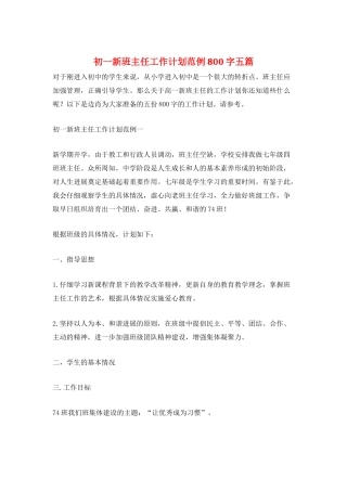 初一新班主任工作计划范例800字五篇
