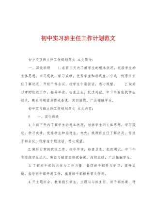 初中实习班主任工作计划范文