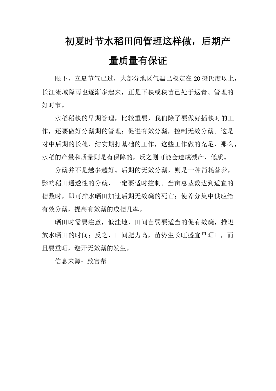 初夏时节水稻田间管理这样做-后期产量质量有保证_第1页