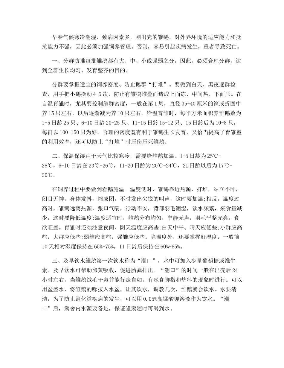 初春怎样饲养雏鹅_第2页