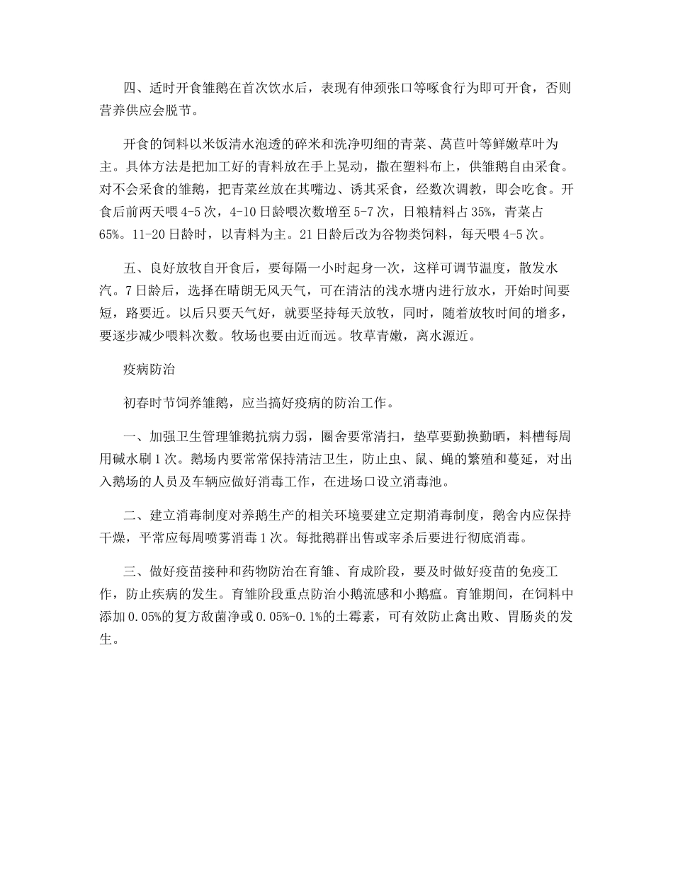 初春怎样饲养雏鹅_第3页