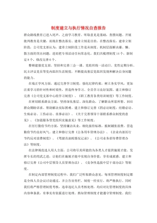 制度建立与执行情况自查报告