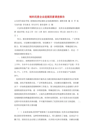 制约民营企业发展因素调查报告