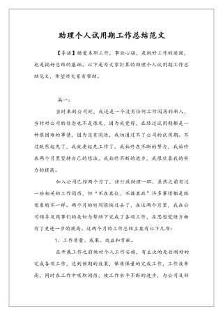 助理个人试用期工作总结范文