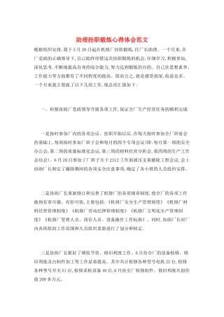 助理挂职锻炼心得体会范文
