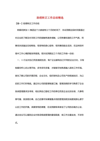 助理转正工作总结精选