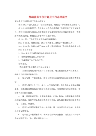 劳动委员工作计划及工作总结范文