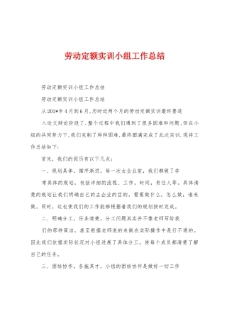 劳动定额实训小组工作总结