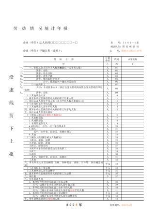 劳动情况统计年报